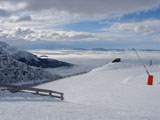 Stok narciarski, Alpy
