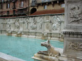 fontanna, Siena