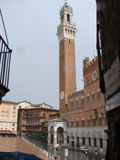 Ratusz w Sienie